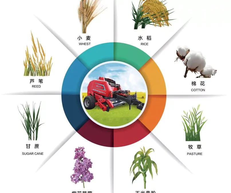 Forage Crop Selection: Alfalfa, Grass, and Mixed Stand Guide